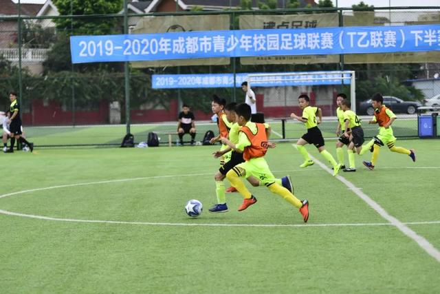 高水平、大氛围！2026北马创下新纪录，赛事组织获好评